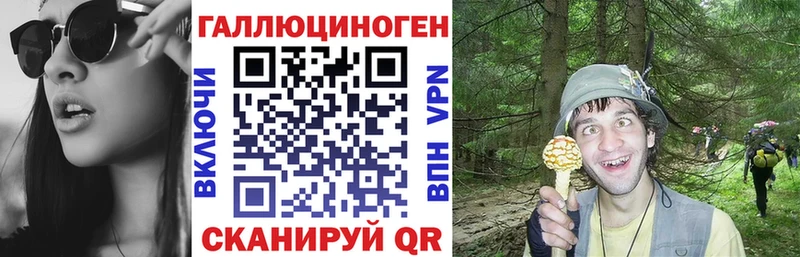 Галлюциногенные грибы MAGIC MUSHROOMS  закладки  Сясьстрой 