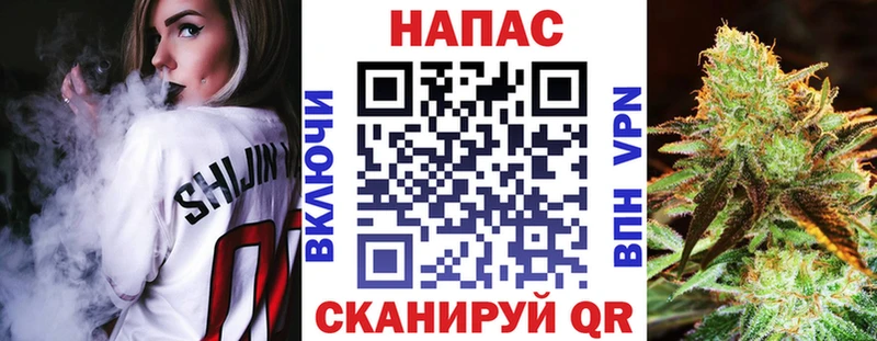 Конопля SATIVA & INDICA  наркотики  Сясьстрой 